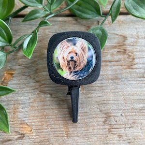 Badge id , porte -carte rétractable " Chien "  idéal  pour carte magnétique , carte d'employé , pour infirmières , enseignants ,