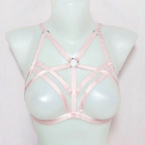May include: A pink lingerie harness with silver rings. The harness has a web-like design with multiple straps.