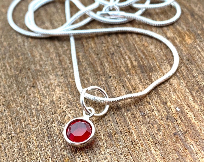 Birthstone Necklace  - January