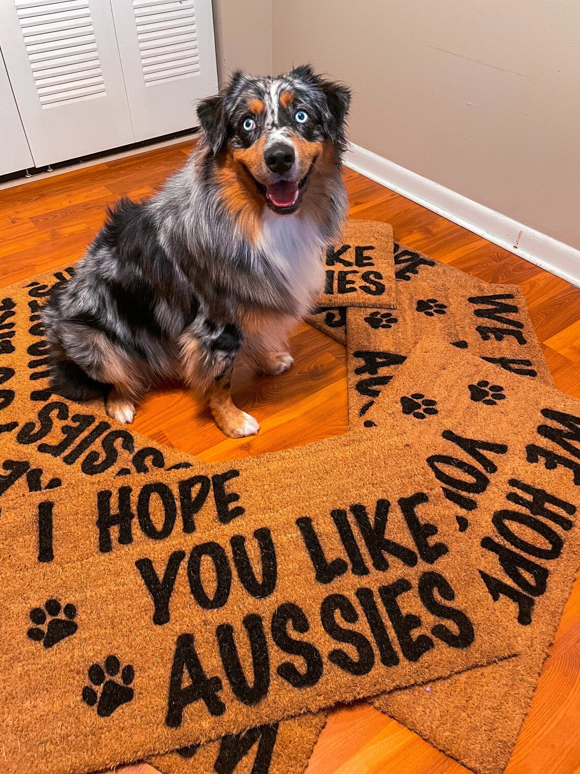 We Hope You Like Aussies Doormat Aussie Door Mat dog Etsy