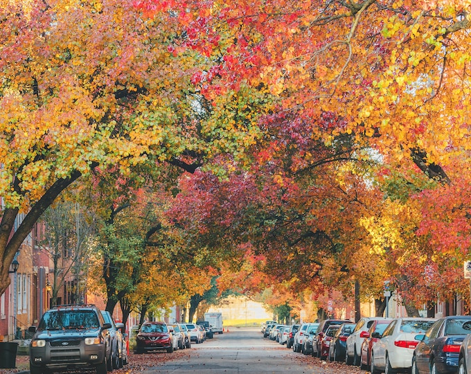 Sheffield Street in the Fall - Pittsburgh skyline - Various Prints