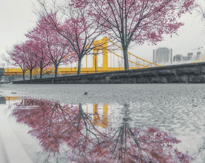 Framed in the springtime - Pittsburgh Prints