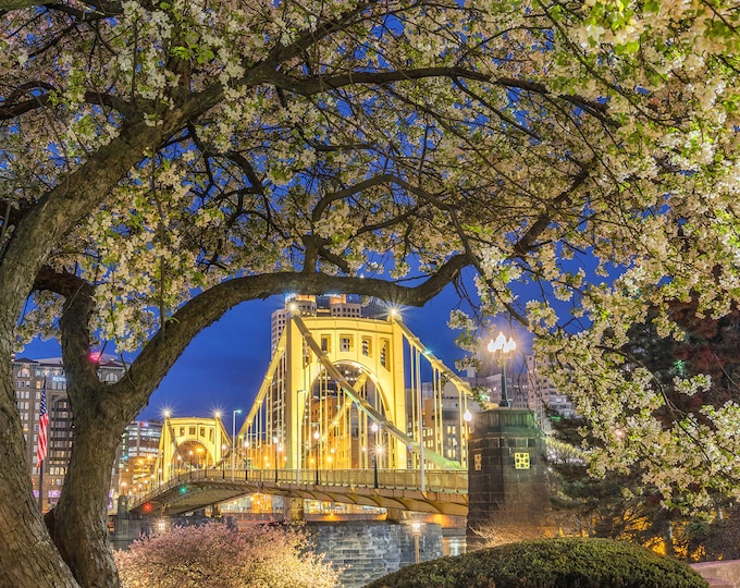 A springtime frame in Pittsburgh - Various Prints