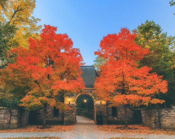 Fall at Frick - Pittsburgh skyline - Various Prints