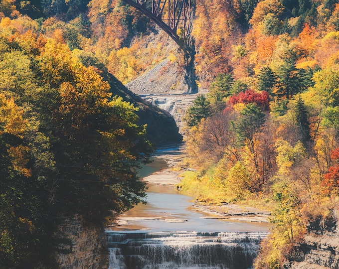 A train passing through Letchworth - Letchworth State Park - Various Prints