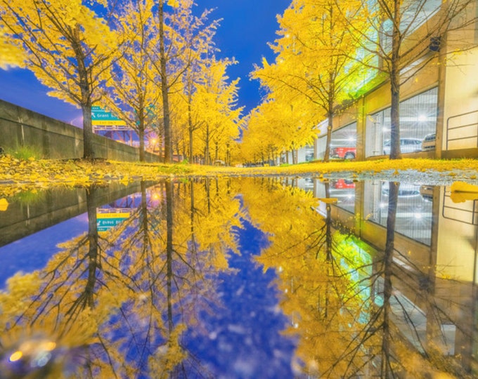 Reflections of Fall - Pittsburgh Prints