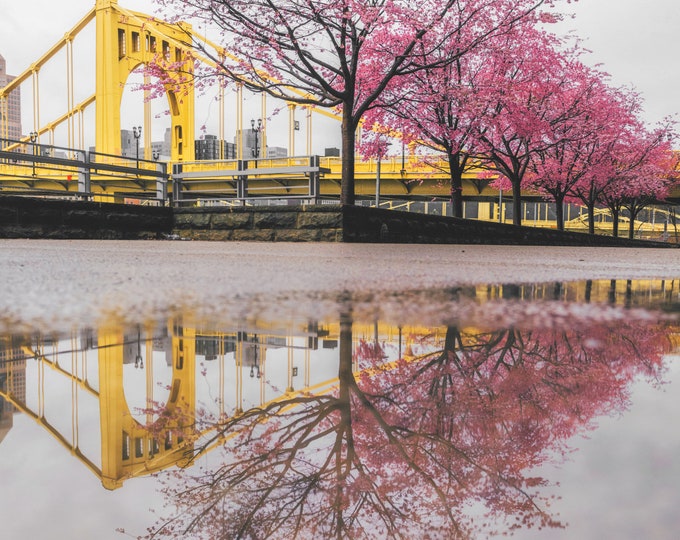Four Seasons of the North Shore in Pittsburgh - Various Prints