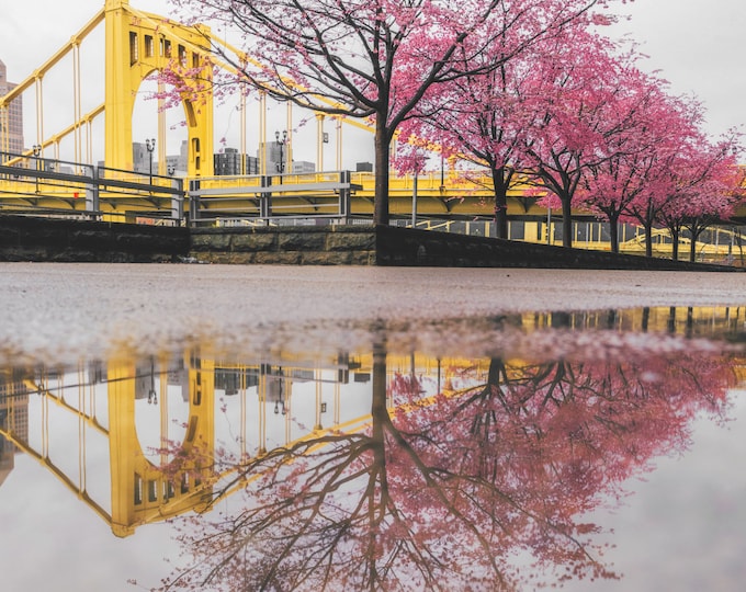 Four Seasons of the North Shore in Pittsburgh - Various Prints