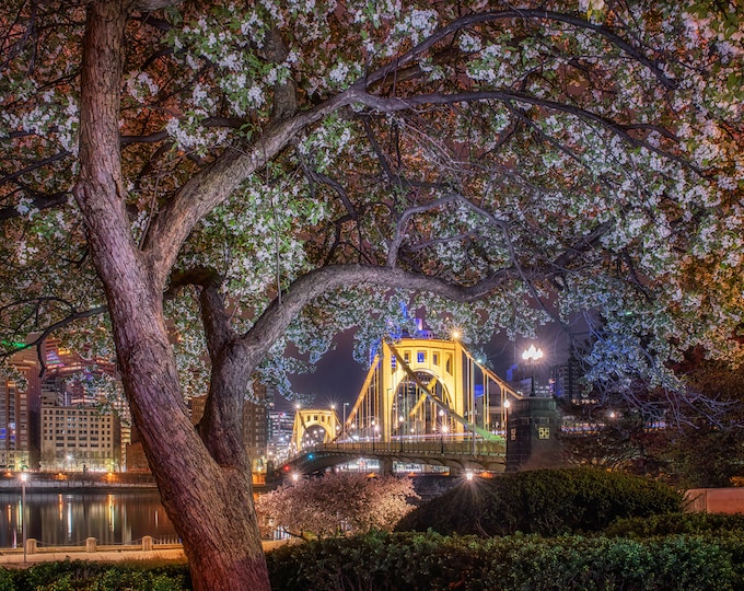 A springtime frame in Pittsburgh - Round 2 - Various Prints