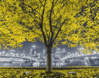 Black and Gold in the fall - Pittsburgh Prints