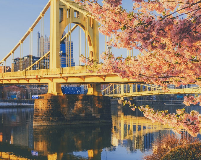 Spring in Pittsburgh - Cherry Blossoms - Various Prints