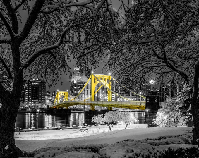 Trees frame the snow covered Clemente Bridge in Pittsburgh - Various Prints