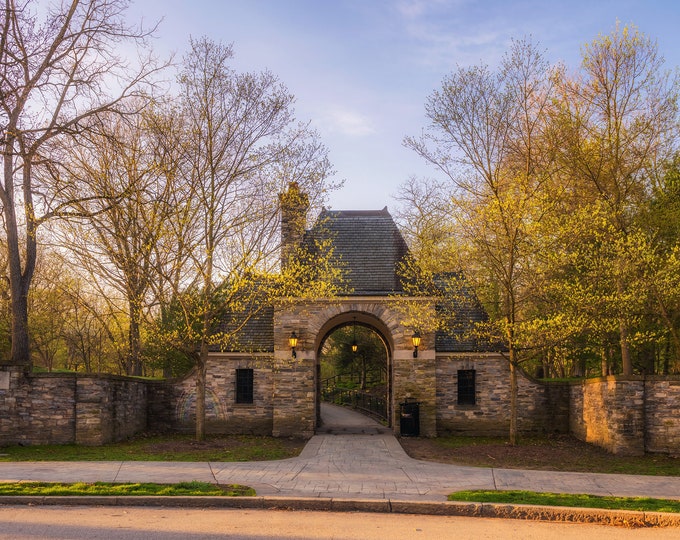 Four Seasons of Reynolds Street and Frick Park - Frick Park in Pittsburgh - Various Prints