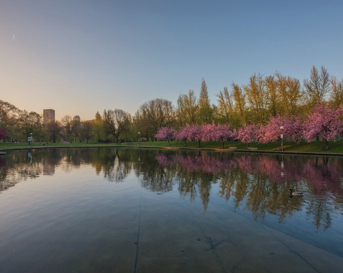 A springtime panorama of Pittsburgh on the North Shore - 12x24 Vivid Metal Print