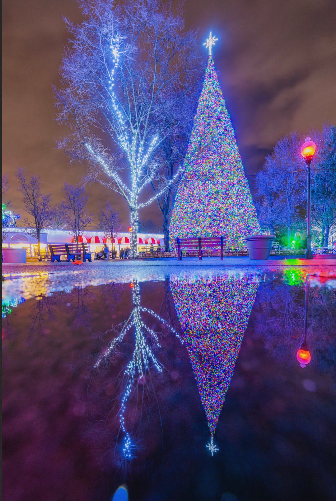 The Christmas Tree at Kennywood Park Pittsburgh Prints Various Prints