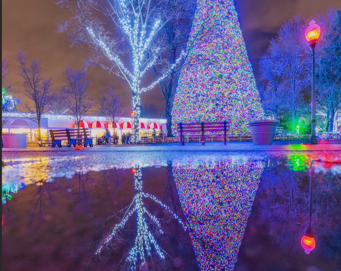 The Christmas tree at Kennywood Park - Pittsburgh Prints - Various Prints