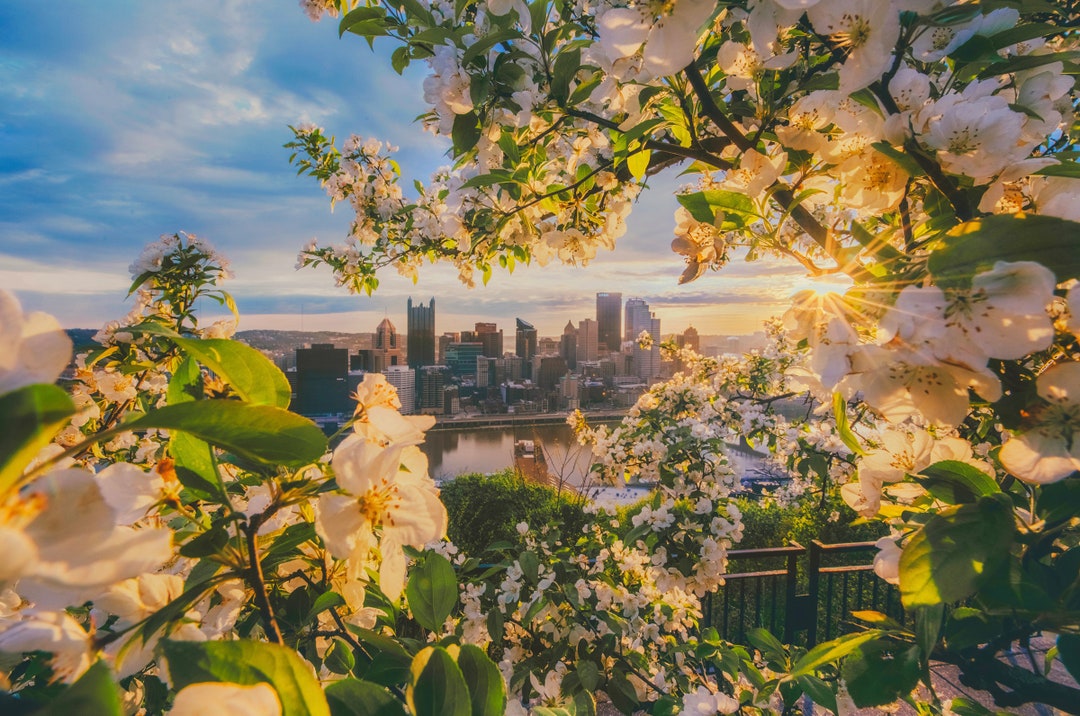 Spring in Pittsburgh Framing the Skyline Various Prints Etsy