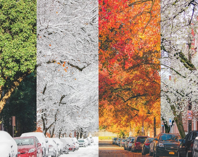 Seasons of Sheffield - A composite - Various Prints