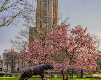 Spring and the Cathedeal - Various Prints