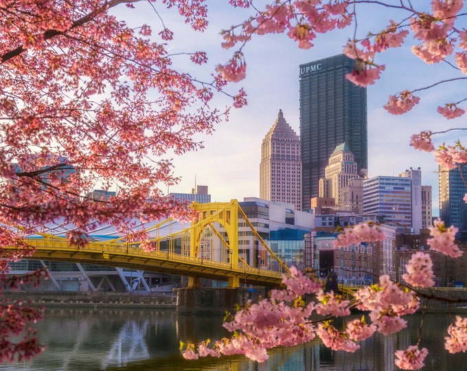 A spring frame at dawn - Pittsburgh skyline - Various Prints