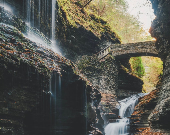The falls in the gorge - Watkins Glen - Various Prints