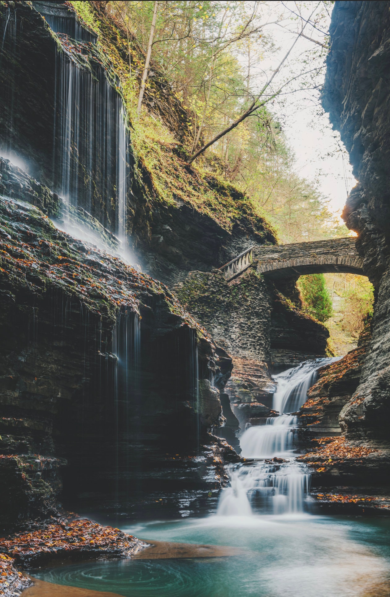 The Falls in the Gorge Watkins Glen Various Prints