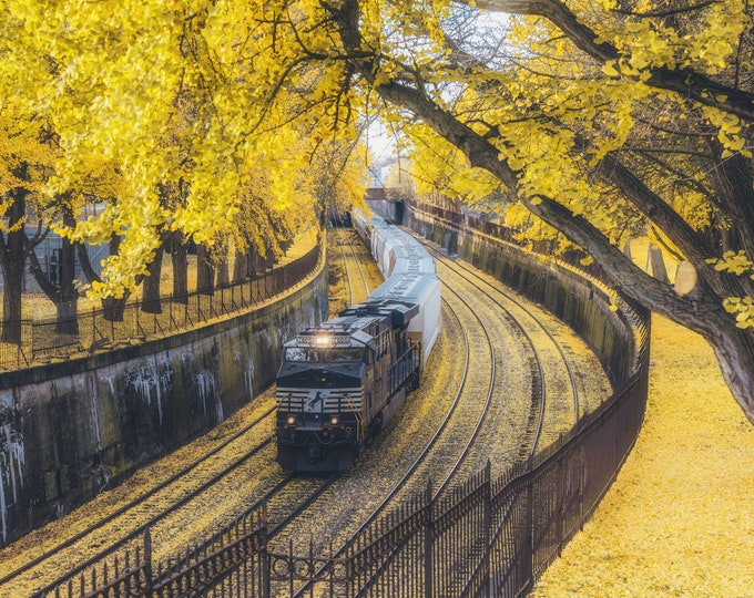 A fall frame for a train on the North Side of Pittsburgh - Various Prints