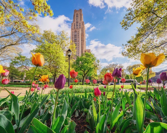 Spring and the Cathedral of Learning - Various Prints