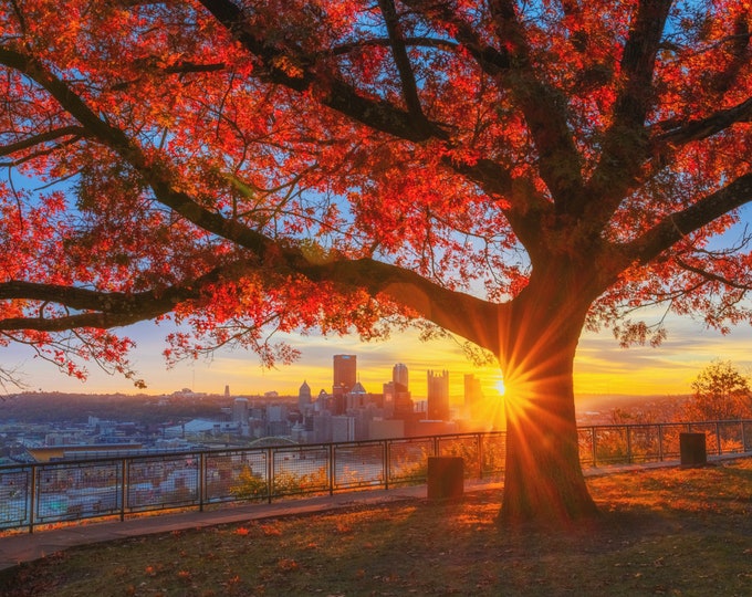 A tree on fire in Pittsburgh - Sunrise - Pittsburgh Prints