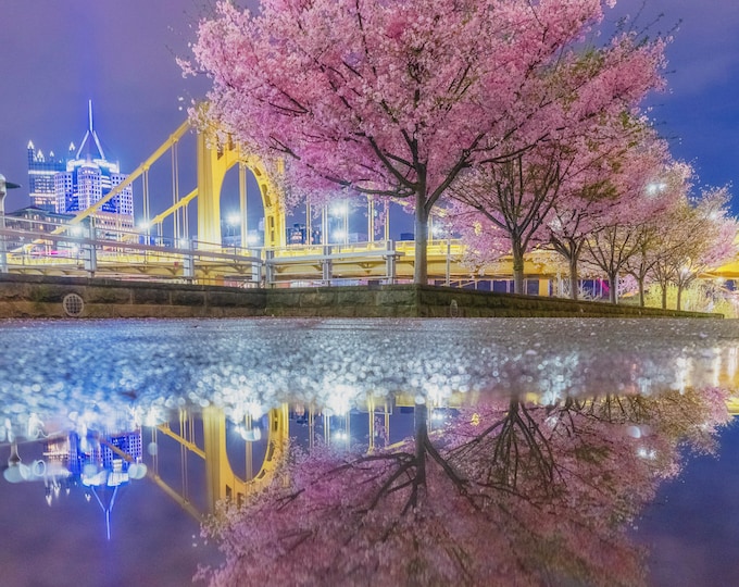 Springtime reflections at night - Pittsburgh skyline - Various Prints