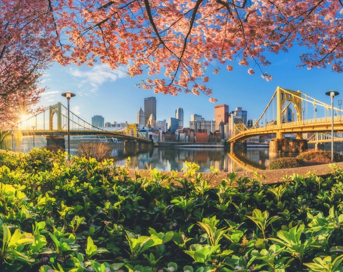 A springtime frame on the North Shore - Pittsburgh skyline - Various Prints