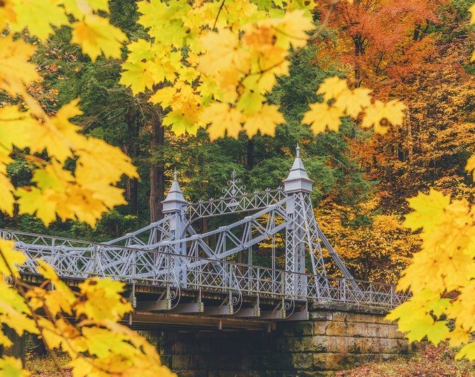 The Cinderella Bridge at Mill Creek Park - Youngstown - Various Prints