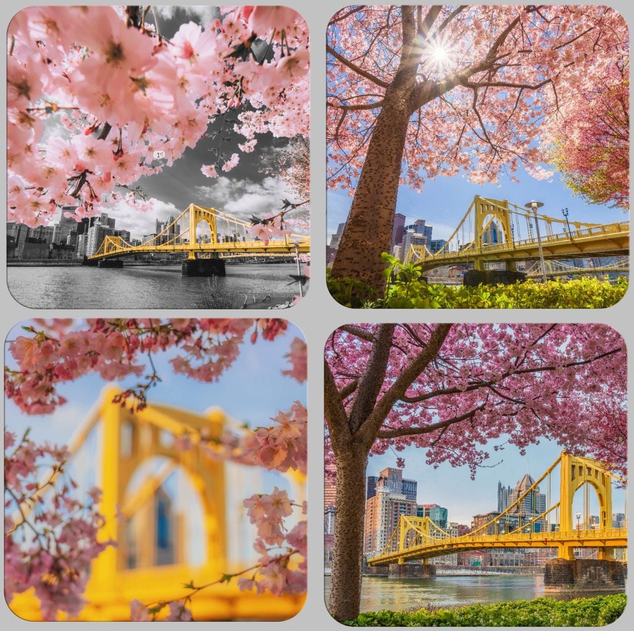 Cherry Blossoms in Pittsburgh Pittsburgh Coaster Set