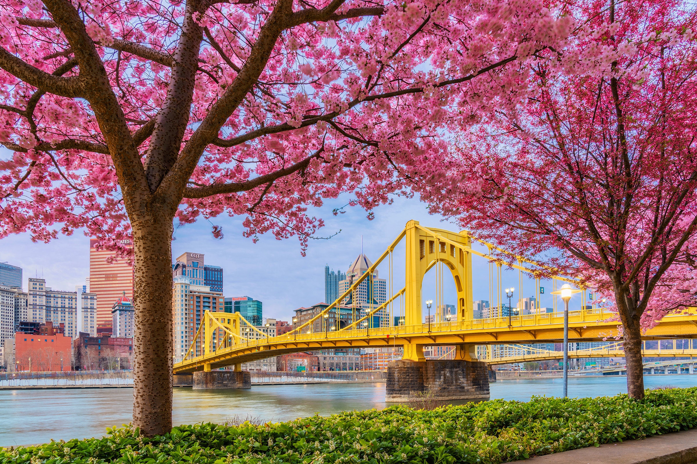 A Springtime Frame Pittsburgh Skyline Various Prints - Etsy