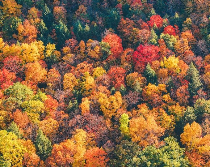 Fall colors at Letchworth - Letchworth State Park - Various Prints