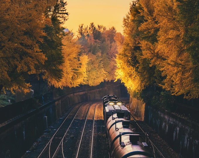 A train through the park - Pittsburgh skyline - Various Prints