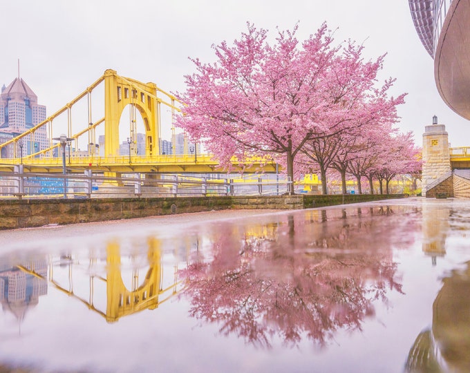 Reflections of Spring in a puddle - Pittsburgh skyline - Various Prints