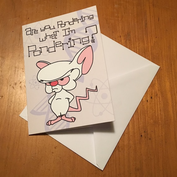 Pinky And The Brain Are You Pondering What I M Etsy