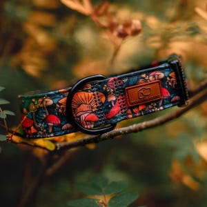 Collar para perros con forma de hongo de medianoche, collar para perros azul marino y naranja, collar para perros para senderismo, collar para perros para otoño, collar para perros para aventuras, collar para perros para niños
