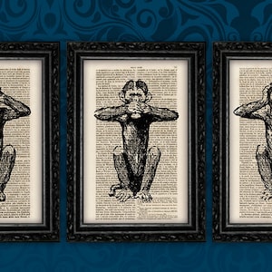 Three Wise Monkeys Set Bundle See No Evil Hear No Evil Speak No Evil Dictionary Art Print Macaques Chimpanzee Buddhist (35-Nº6)