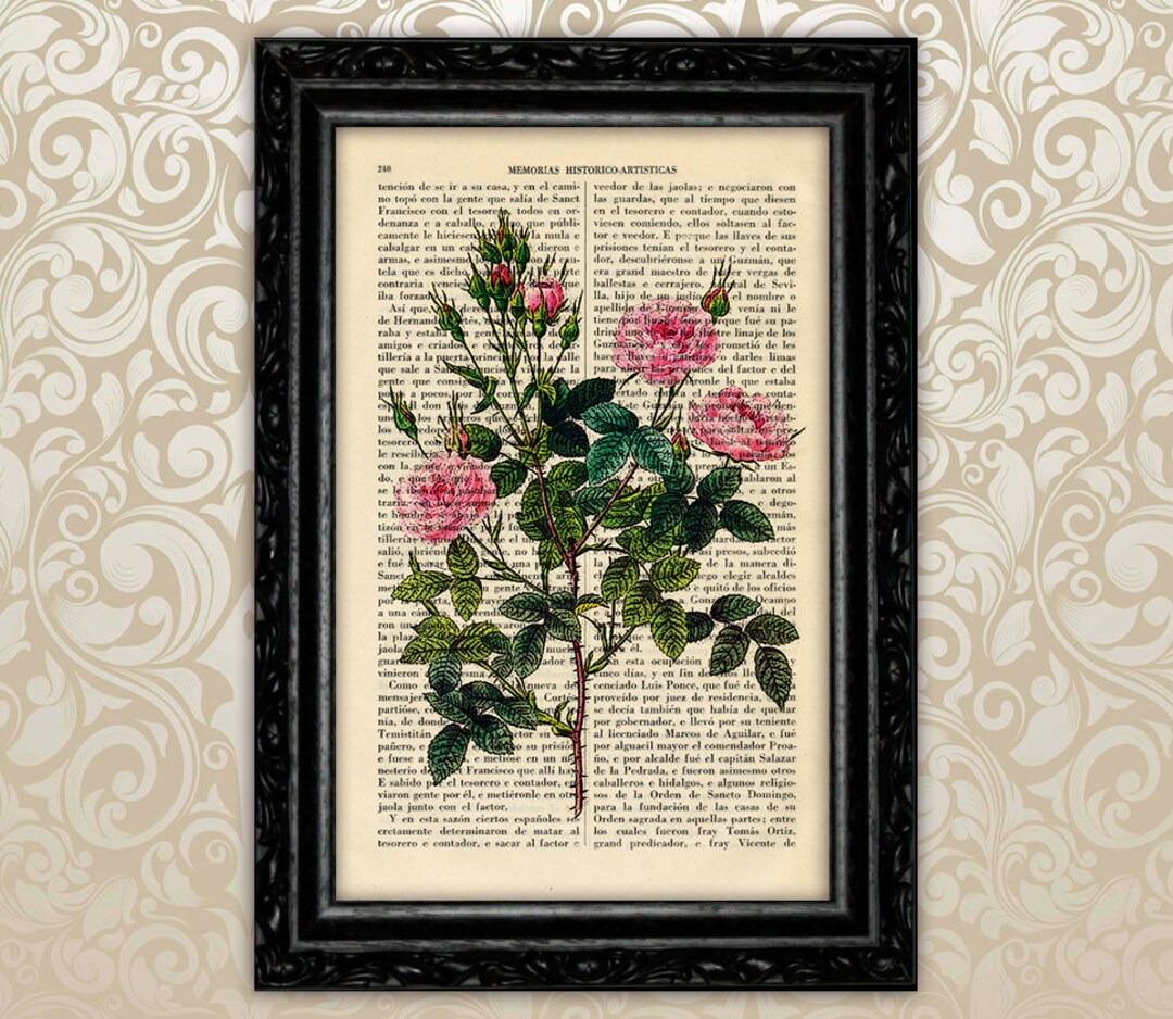 Roses Botanical Art Print Antique Rose Kitchen Poster Valentine's Day ...