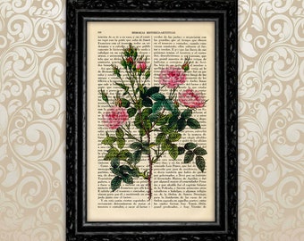 Roses Botanical Art Print Antique Rose Kitchen Poster Valentine's day  Print Gift Vintage Wall Decor Poster Dictionary Garden Wall (12-Nº10)