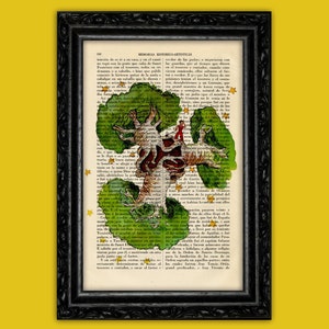 Der kleine Prinz Baobabs Planet – Kunstdruck aus dem alten Buch der alten Wörterbuch-Seite – Sternenhimmel und wachsende Baobabs (47-N°10)