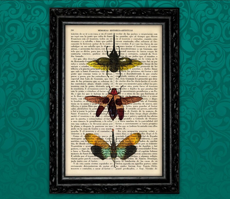 Insects Colorful Art Print Insect Wall Poster Gift Dorm Room Print Gift Print Wall Decor Poster Dictionary Print Animal Art Print 23-Nº6 image 1