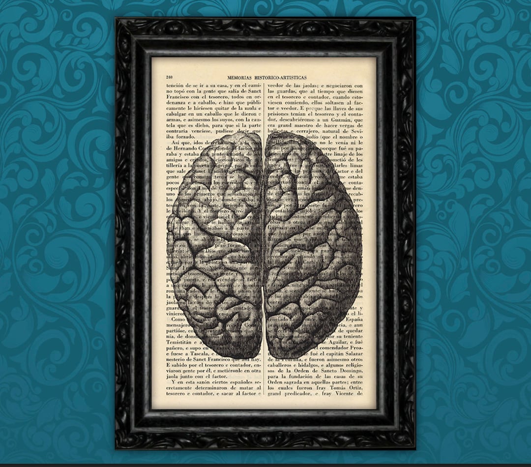 Brain Vintage Anatomical Print Medical Poster Print Gift Human Book Art ...