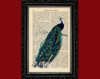 Peacock Book Art Print Bird Vintage Gift Poster Dorm Room Print Gift Animal Print Wall Decor Poster Dictionary Retro Art Print (8- Nº21)