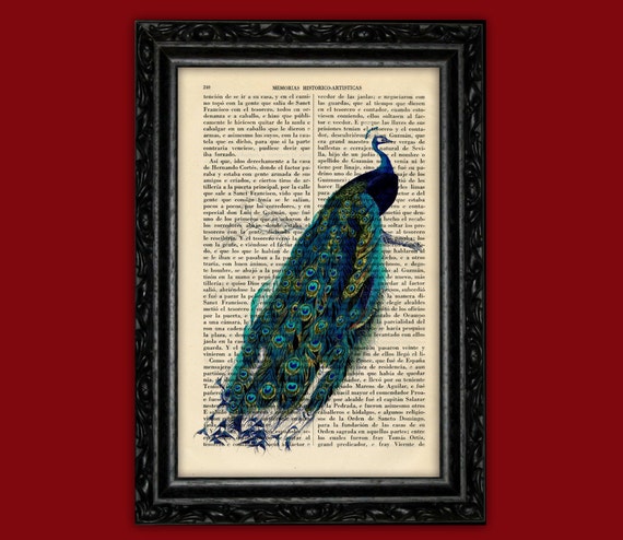 Peacock Print No.408 bird poster peacock decor peacock feathers