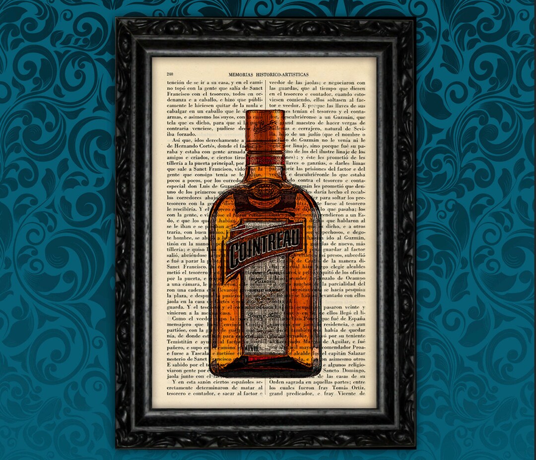 Liquor Bottle Art Print Art Decor verjaardagscadeau print muur Etsy