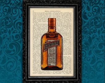 Liquor Bottle Art Print Art Decor Birthday Gift Print Wall Decor Poster Book Art Dorm Room Print (17- Nº24)