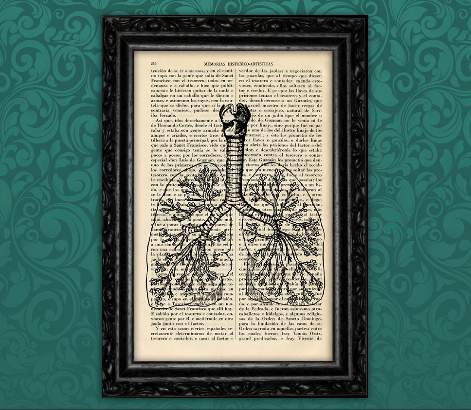 Книги про легкие. Медицинские плакаты анатомия. Книга анатомия печать. Медицинские постеры для интерьера. Постеры медицинские латынь.